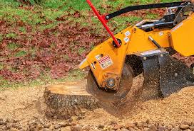 Best Commercial Tree Services  in St Bonaventure, NY